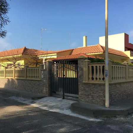 Apartment To Rent